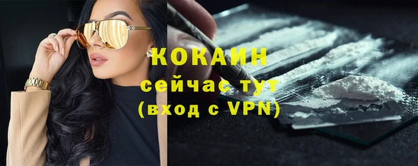 стафф Пролетарск