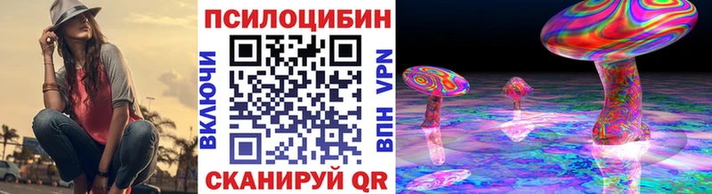 купить наркотики цена  hydra рабочий сайт  Галлюциногенные грибы GOLDEN TEACHER  Хабаровск 