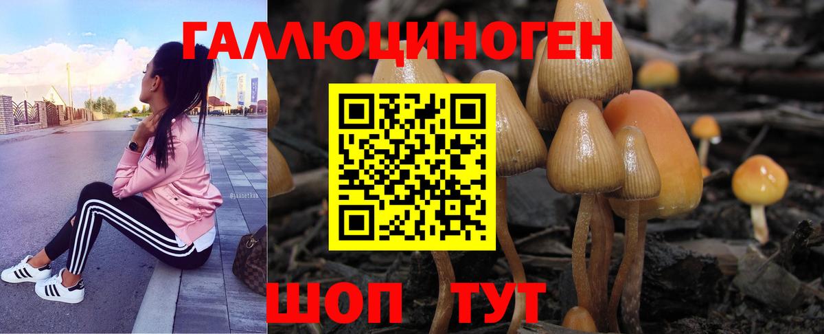 наркота  Вход с VPN  Россия  Галлюциногенные грибы Cubensis 